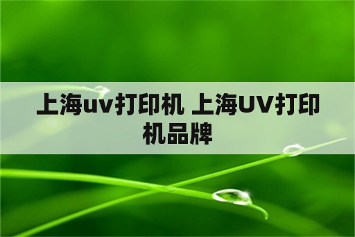 上海uv打印机 上海UV打印机品牌