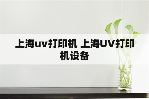 上海uv打印机 上海UV打印机设备
