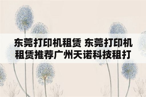 东莞打印机租赁 东莞打印机租赁推荐广州天诺科技租打印机