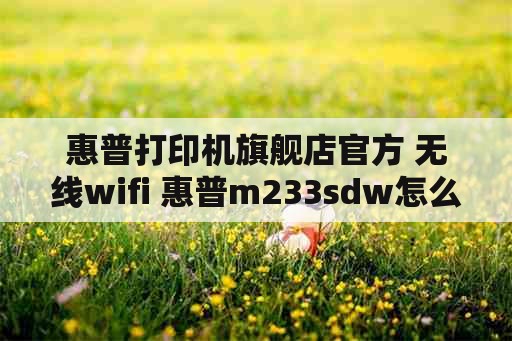 惠普打印机旗舰店官方 无线wifi 惠普m233sdw怎么连wifi？