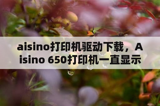 aisino打印机驱动下载，Aisino 650打印机一直显示无法打印怎么回事？