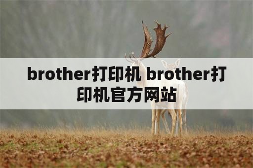 brother打印机 brother打印机官方网站