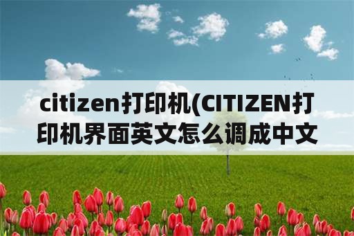 citizen打印机(CITIZEN打印机界面英文怎么调成中文)