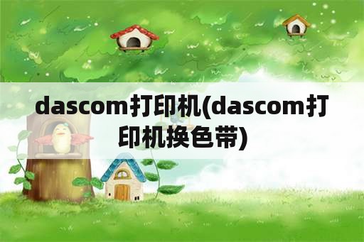 dascom打印机(dascom打印机换色带)
