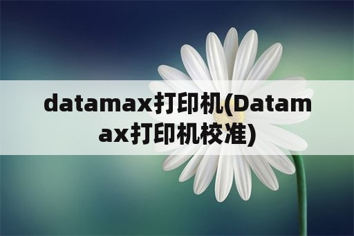datamax打印机(Datamax打印机校准)