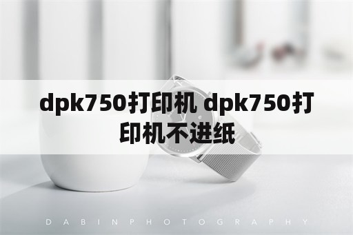 dpk750打印机 dpk750打印机不进纸