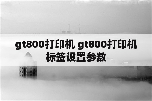 gt800打印机 gt800打印机标签设置参数