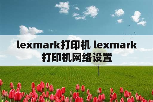 lexmark打印机 lexmark打印机网络设置