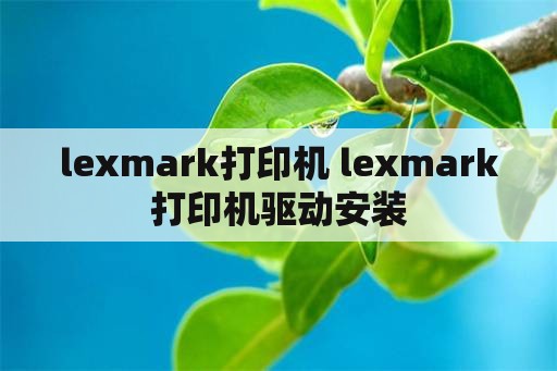 lexmark打印机 lexmark打印机驱动安装