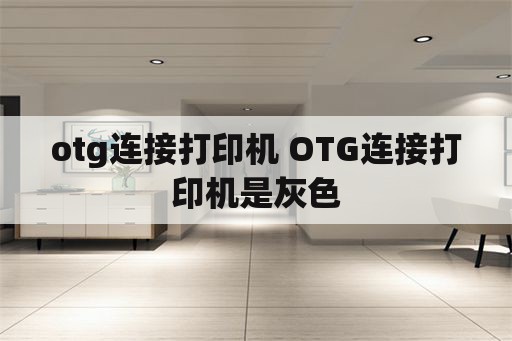 otg连接打印机 OTG连接打印机是灰色