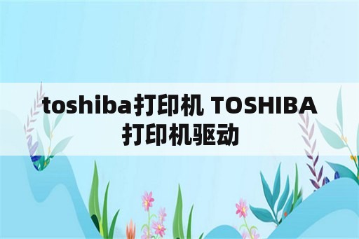 toshiba打印机 TOSHIBA打印机驱动