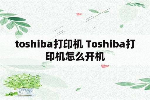 toshiba打印机 Toshiba打印机怎么开机