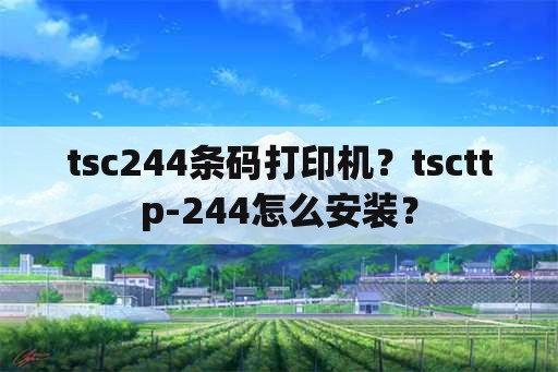 tsc244条码打印机？tscttp-244怎么安装？
