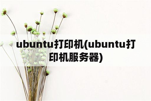 ubuntu打印机(ubuntu打印机服务器)