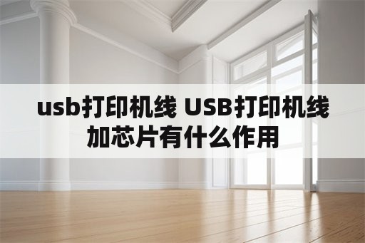 usb打印机线 USB打印机线加芯片有什么作用