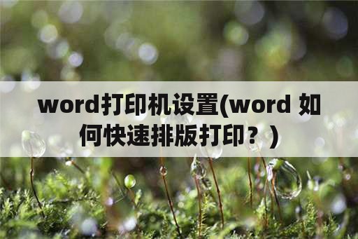 word打印机设置(word 如何快速排版打印？)
