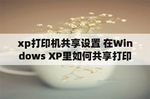 xp打印机共享设置 在Windows XP里如何共享打印机？(上)？