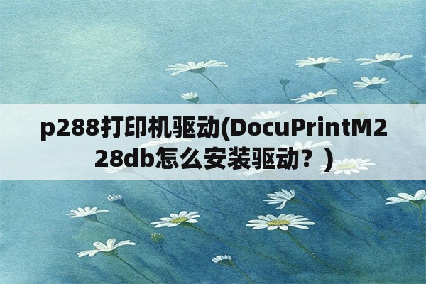 p288打印机驱动(DocuPrintM228db怎么安装驱动？)