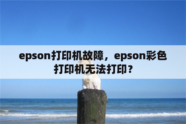 epson打印机故障，epson彩色打印机无法打印？