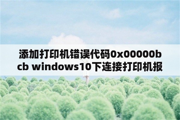 添加打印机错误代码0x00000bcb windows10下连接打印机报操作失败,错误为0x00000bcb？