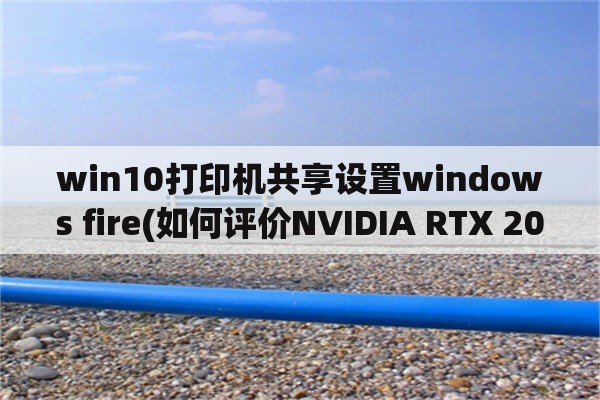 win10打印机共享设置windows fire(如何评价NVIDIA RTX 2080 Ti显卡？)