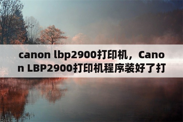 canon lbp2900打印机，Canon LBP2900打印机程序装好了打印机也连接好了可就是不能打印着是什么问题呢？