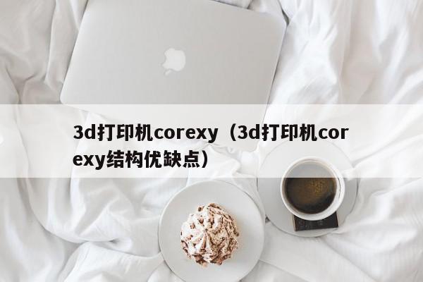 3d打印机corexy（3d打印机corexy结构优缺点）