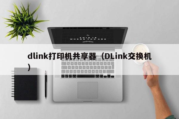 dlink打印机共享器（DLink交换机）